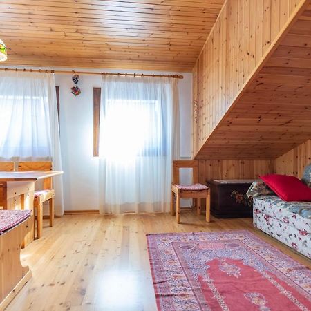 Petit Arnica Appartement Selva di Cadore Buitenkant foto